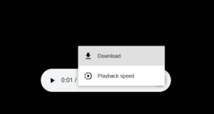 A screenshot showing a Player bar with menu options overlaod onto it. The options shown are Download and Playback Speed.